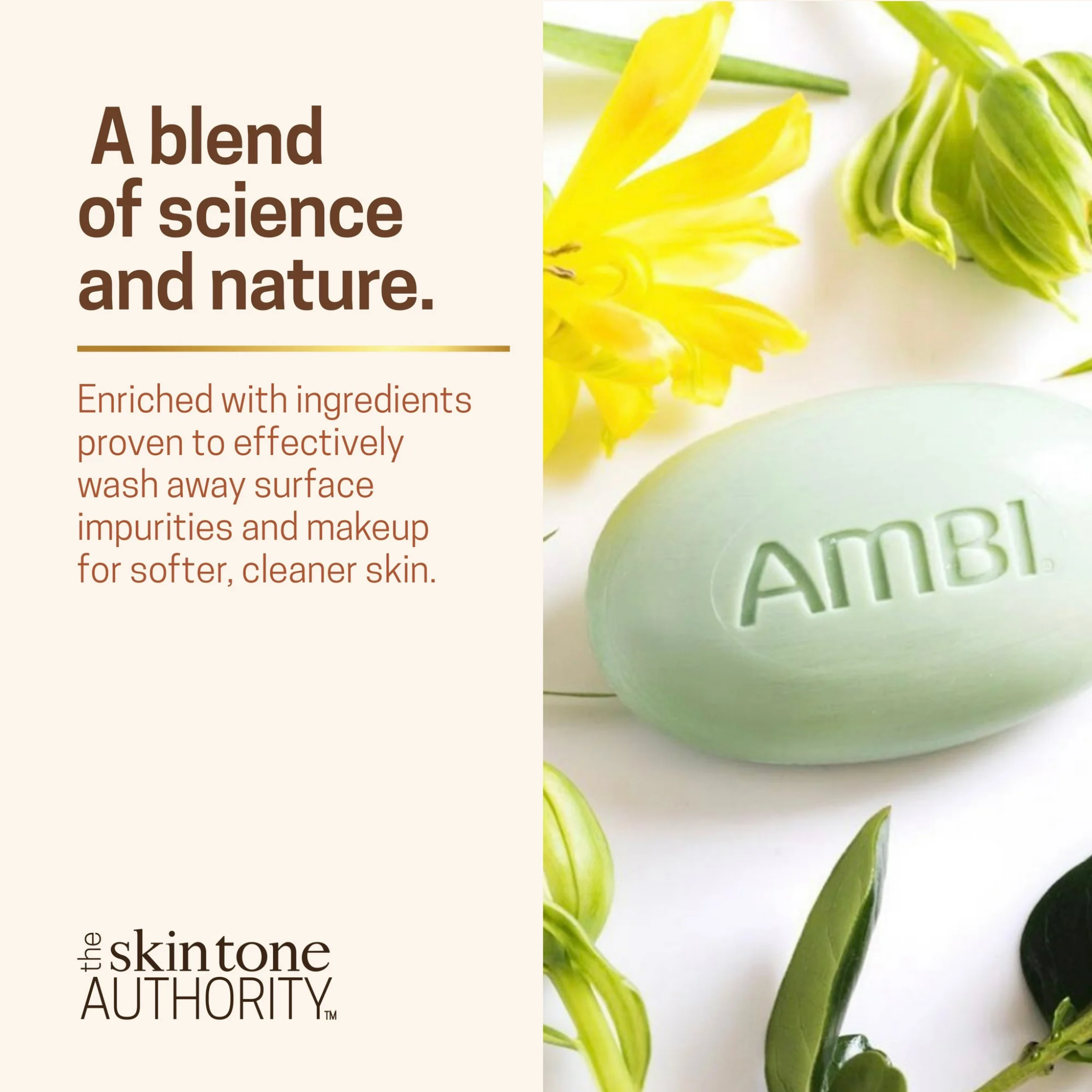 AMBI, Black Soap with Shea Butter Bar, Nourishing Skin Care, All Skin Types, 3.5 oz - Pharmaful