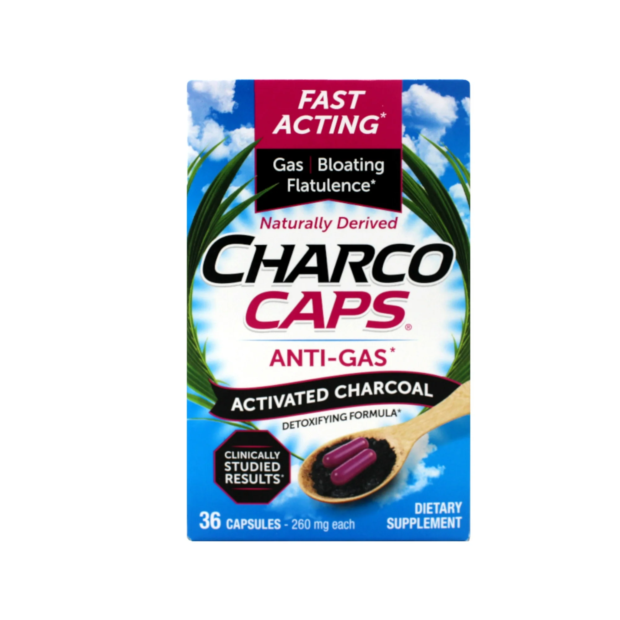 CharcoCaps Anti Gas Detoxifying Formula, 36 Capsules