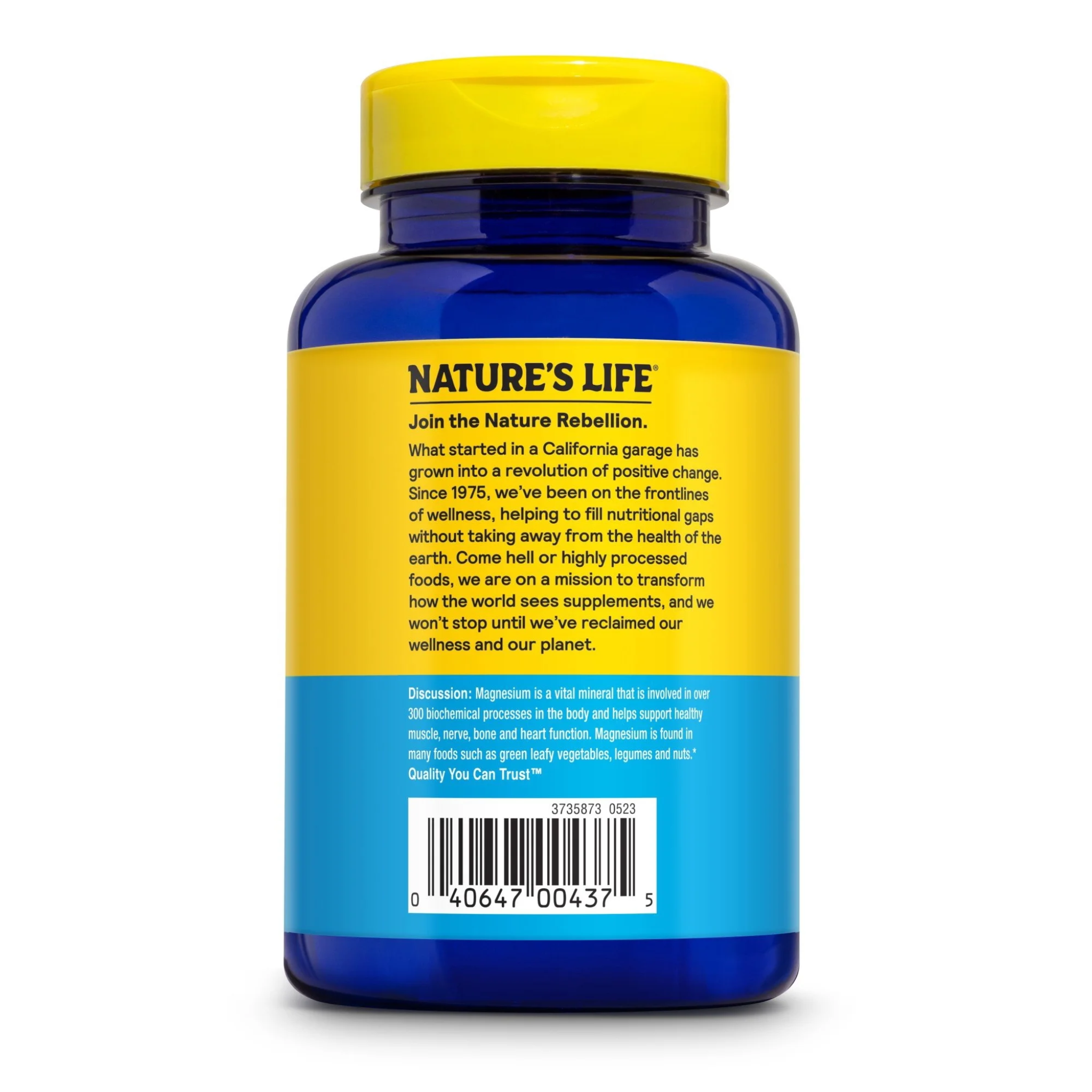 Nature's Life, Magnesium Renewal 500 mg, Magnesium Citrate, Magnesium Malate, Magnesium Oxide, with Vitamin B-6, Supports Muscle and Nerve Function, 100 Vegetarian Capsules (Pack of 6)