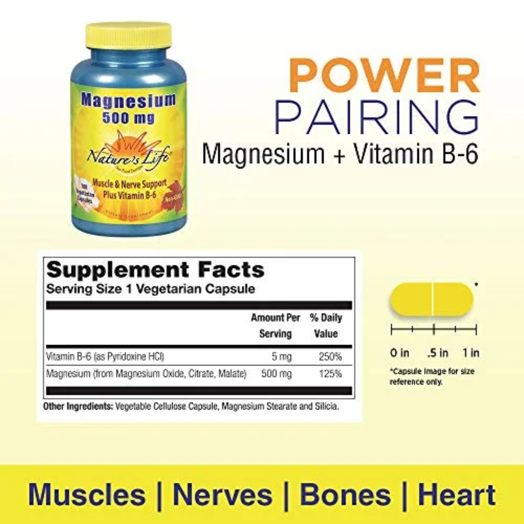 Nature's Life, Magnesium Renewal 500 mg, Magnesium Citrate, Magnesium Malate, Magnesium Oxide, with Vitamin B-6, Supports Muscle and Nerve Function, 100 Vegetarian Capsules (Pack of 6)