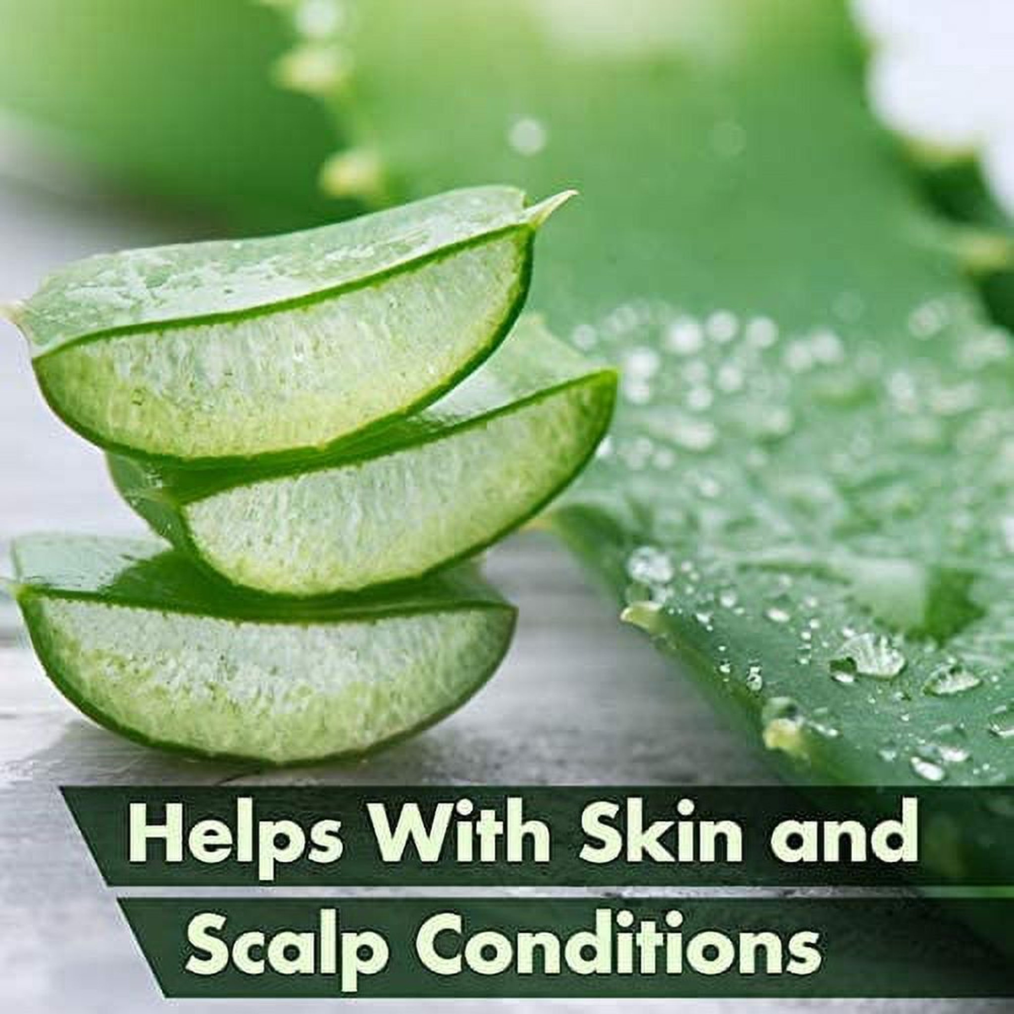 Windmill, Aloe Vera Moisturizing Gel, Bio-Active 99.9% Pure & Soothing Hydration, 6 Oz - Pharmaful
